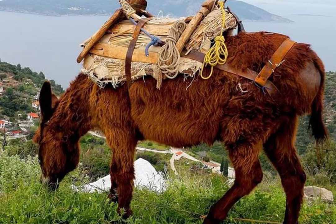 ARSINOE Retreat Center